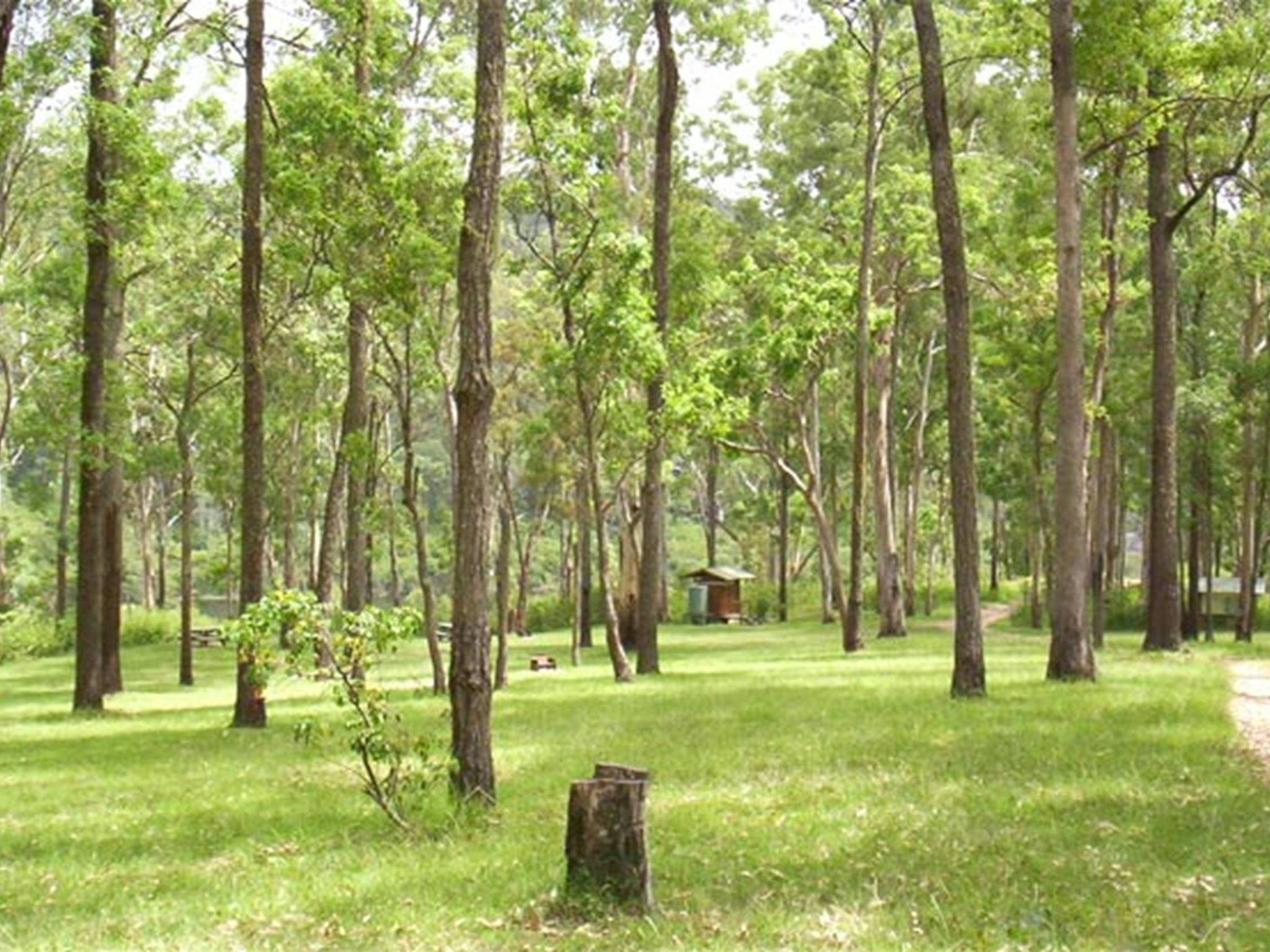 Campingplatz am Fluss Nymboida