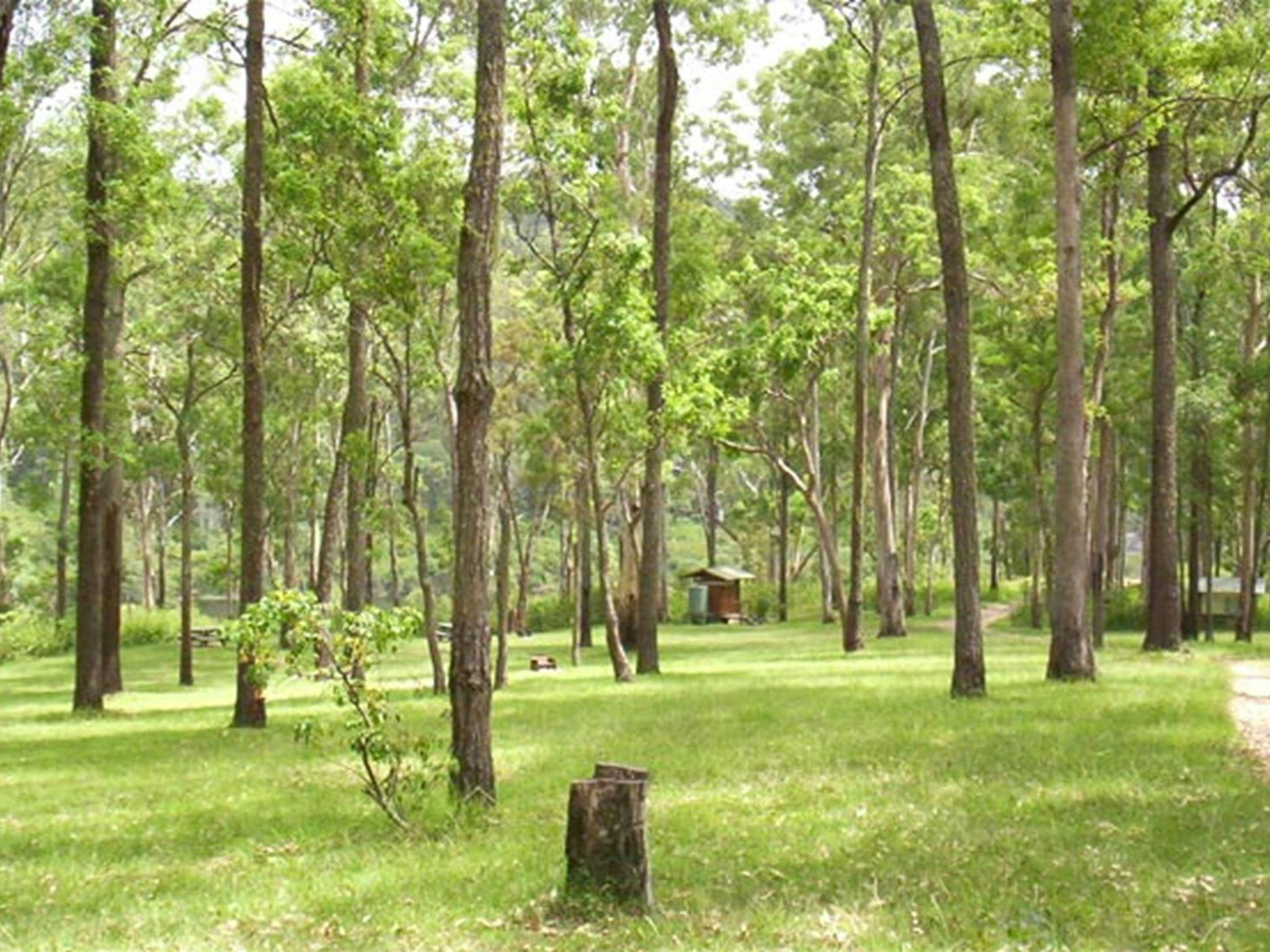 Nymboida River campground