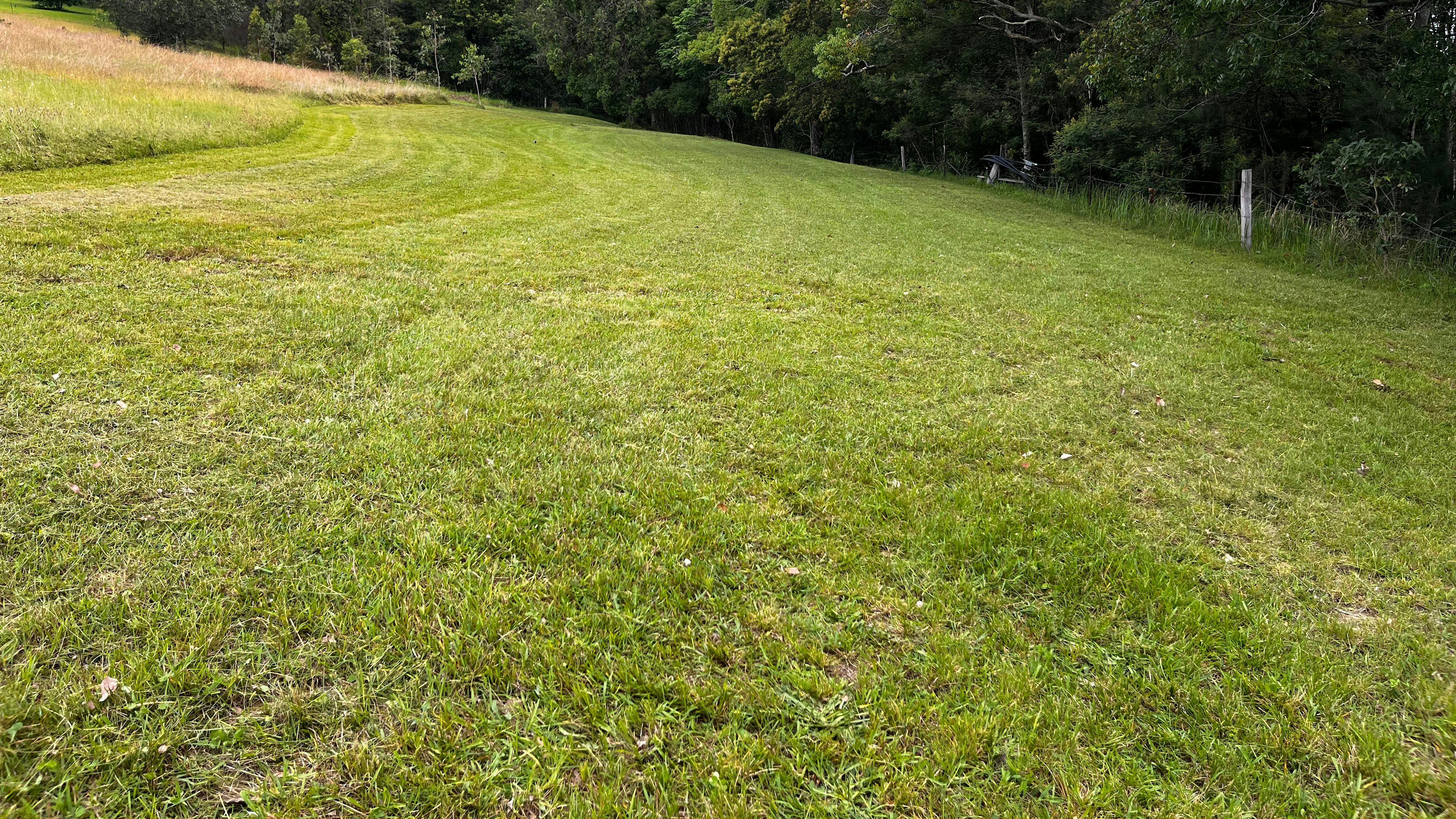 Tallowood Creek Camp