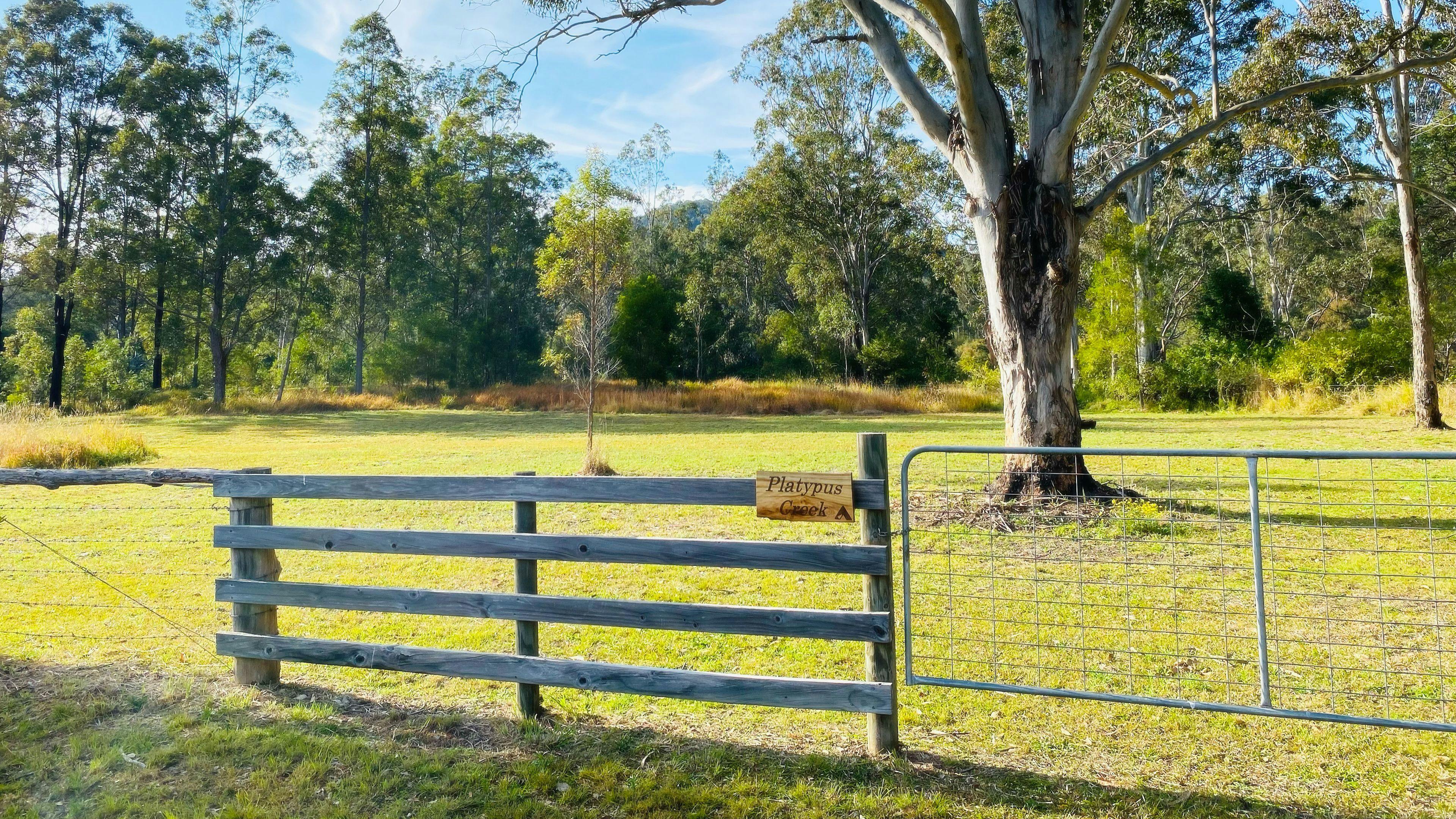 오리너구리 개울