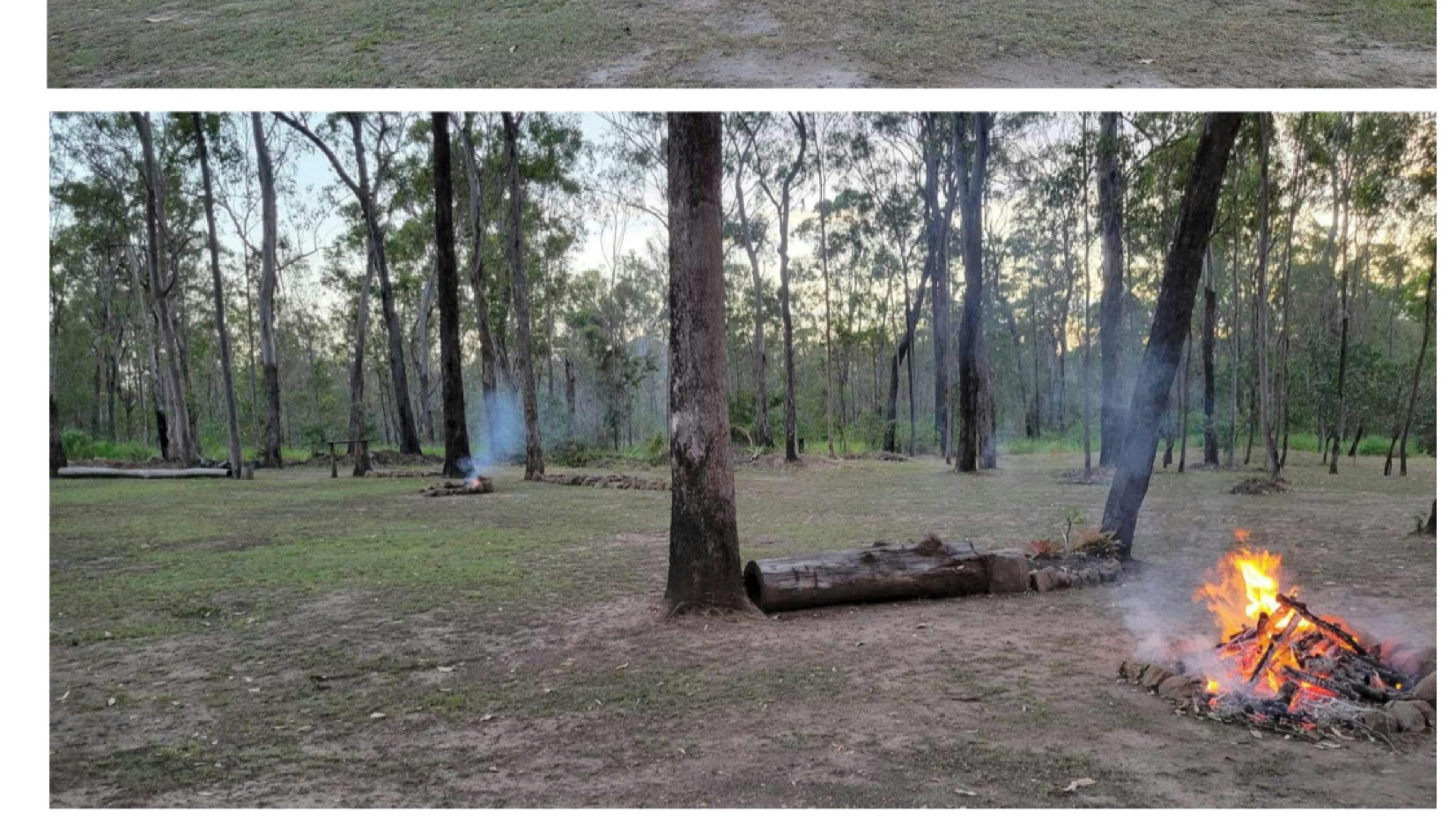 TLC - The Luke’s Compound