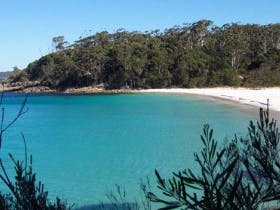 A Surfing Kangaroo Tour