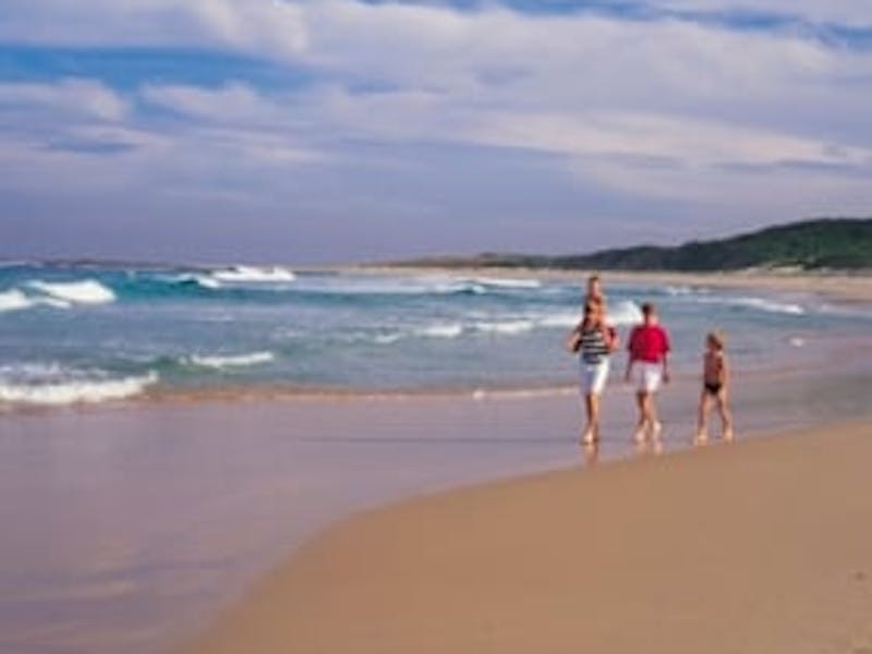 Soldiers Beach Sydney, Australia Official Travel &