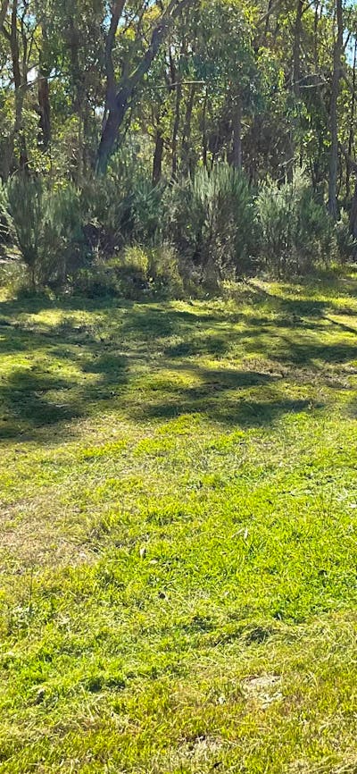 Windawalla