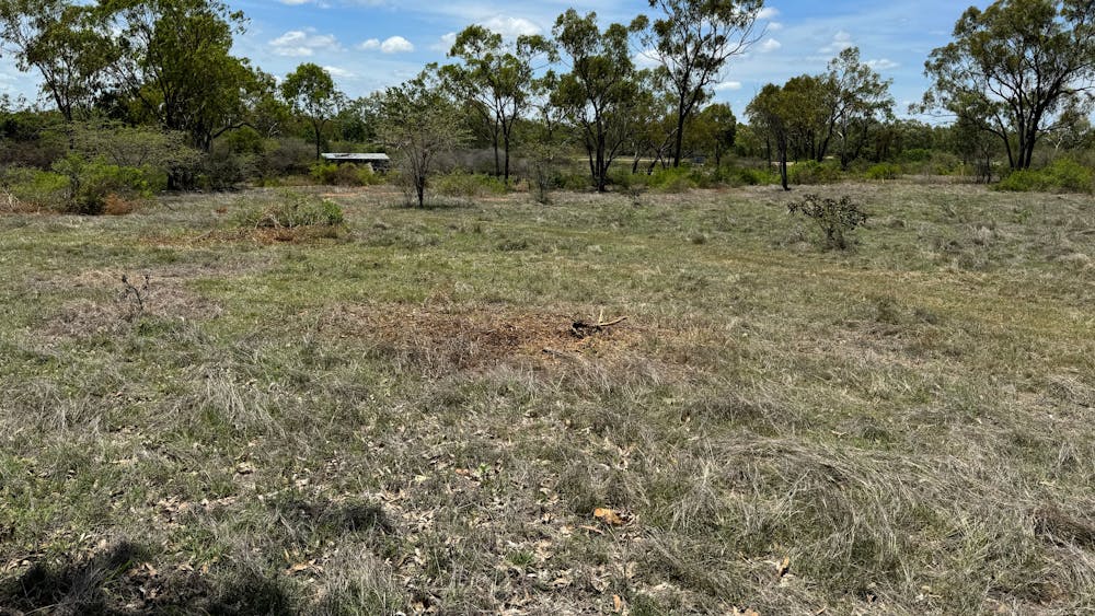 Five Leaf Clover Farm