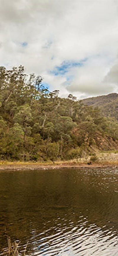 O'Hares campground, Kosciuszko National Park. Photo: Murray Vanderveer/NSW Government