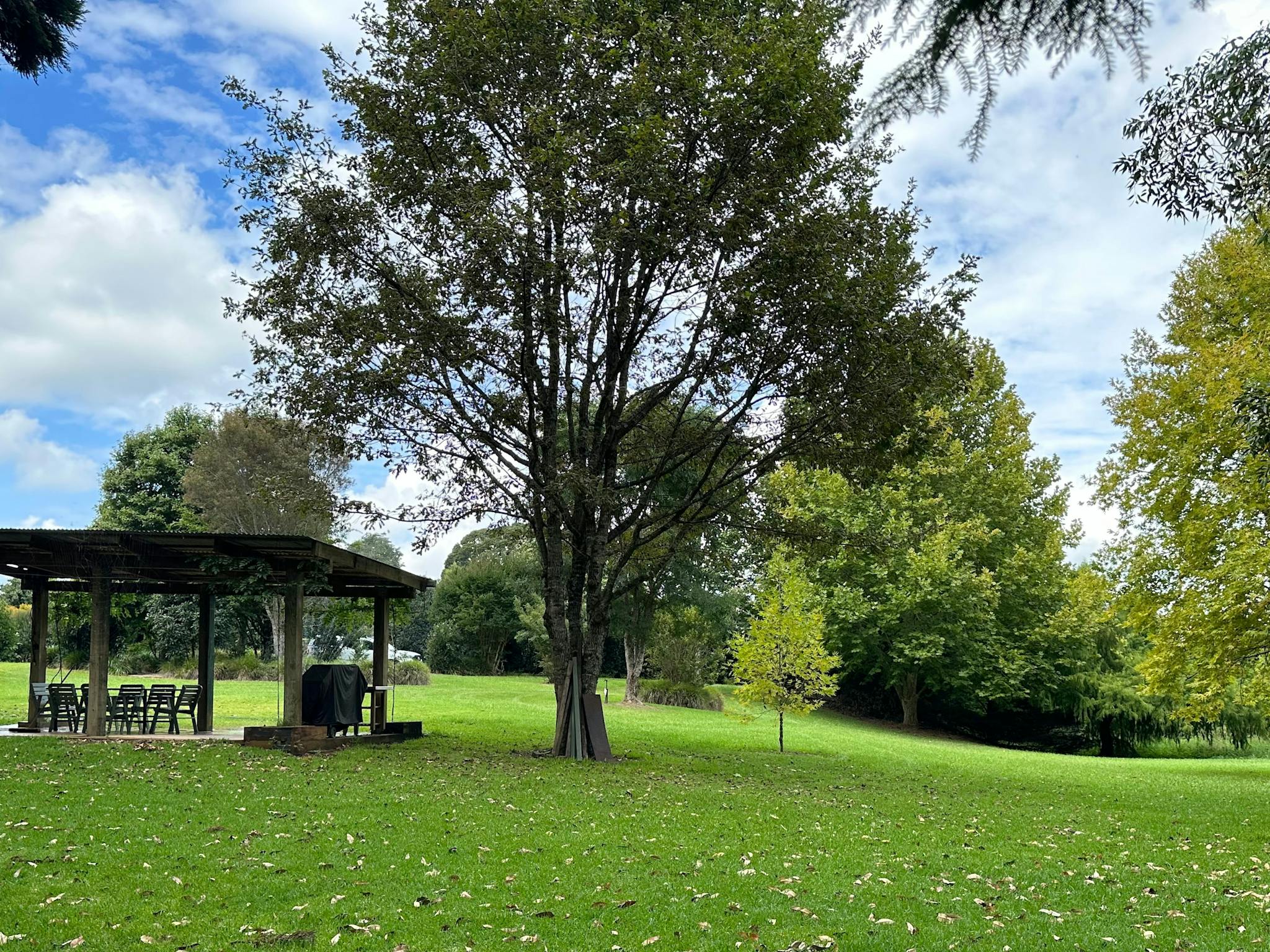 Plenty of space on the lush green lawn