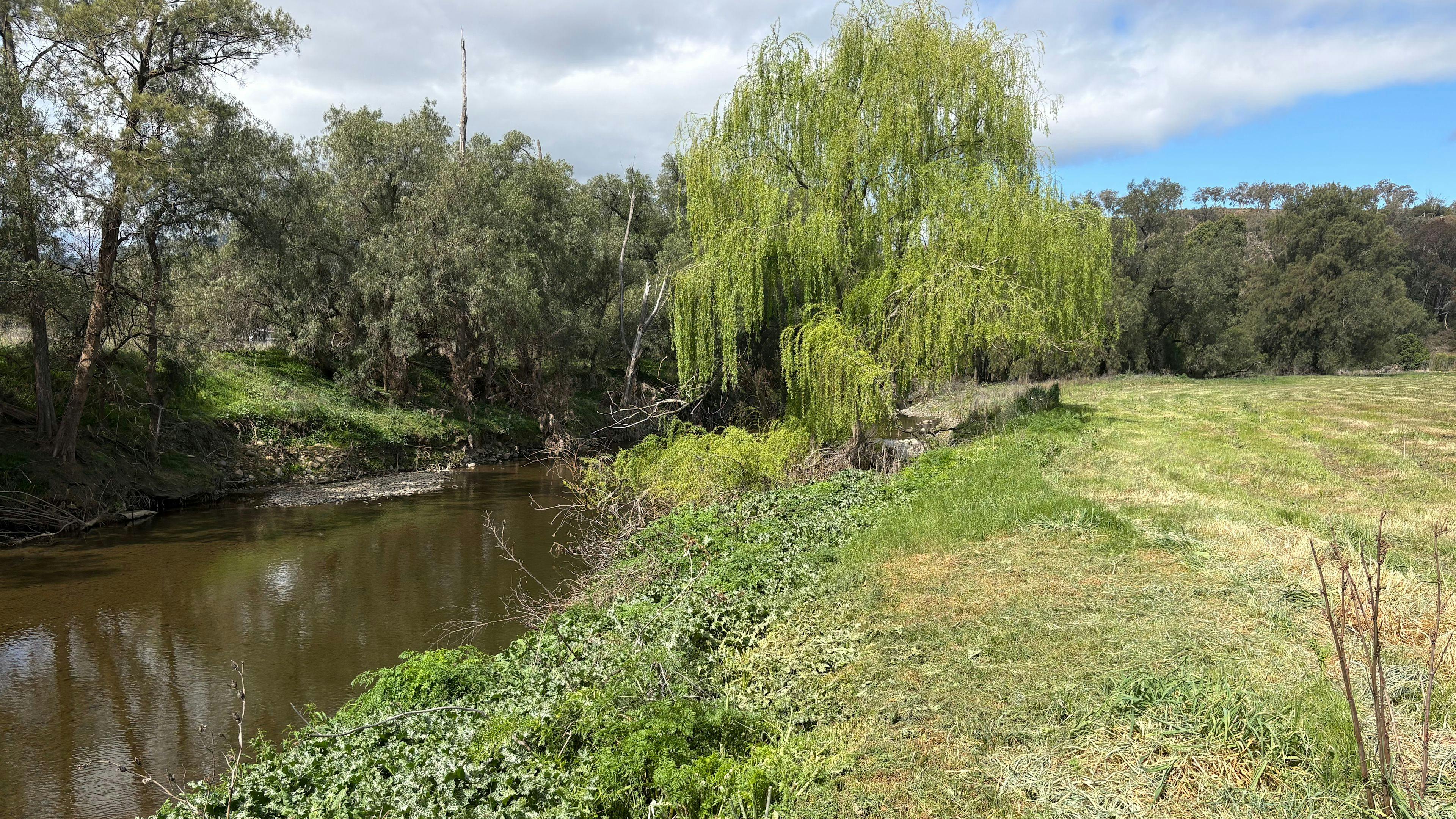 ‘The Willows’ 8 Acres