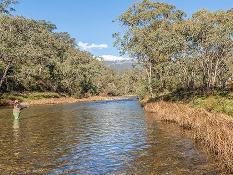 A woman stands in the Swampy Plain River fly fishing, Kosciuszko National Park. Photo: Murray