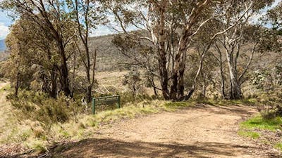 Old Snowy campground, Kosciuszko National Park. Photo: Murray Vanderveer/NSW Government