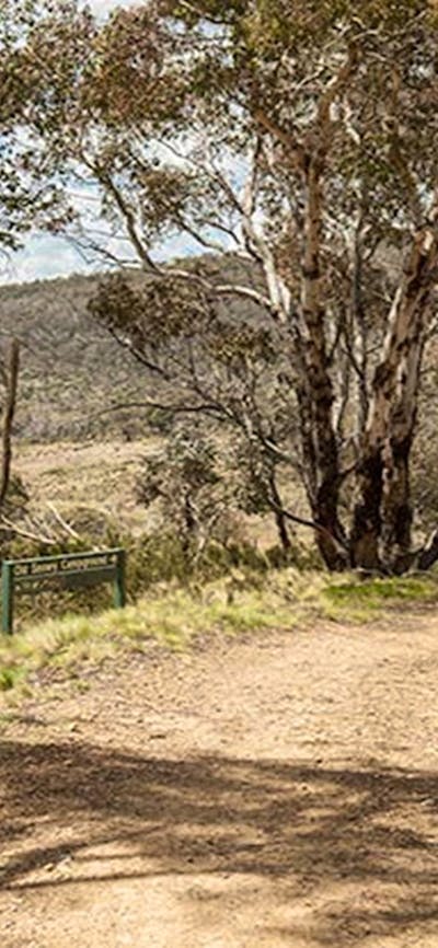 Old Snowy campground, Kosciuszko National Park. Photo: Murray Vanderveer/NSW Government