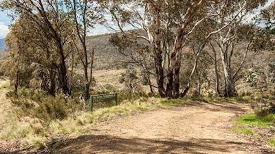 Old Snowy campground, Kosciuszko National Park. Photo: Murray Vanderveer/NSW Government