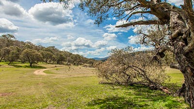 Old Snowy campground, Kosciuszko National Park. Photo: Murray Vanderveer/NSW Government