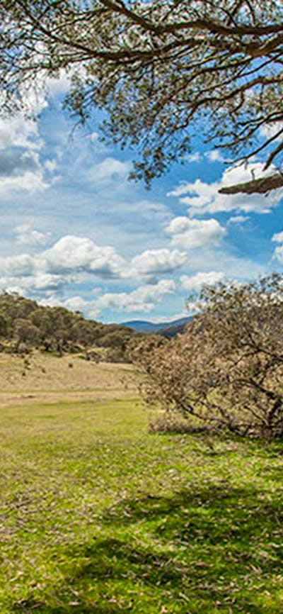 Old Snowy campground, Kosciuszko National Park. Photo: Murray Vanderveer/NSW Government
