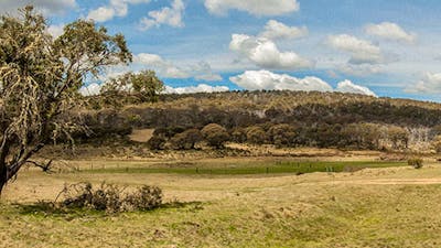 Old Snowy campground, Kosciuszko National Park. Photo: Murray Vanderveer/NSW Government