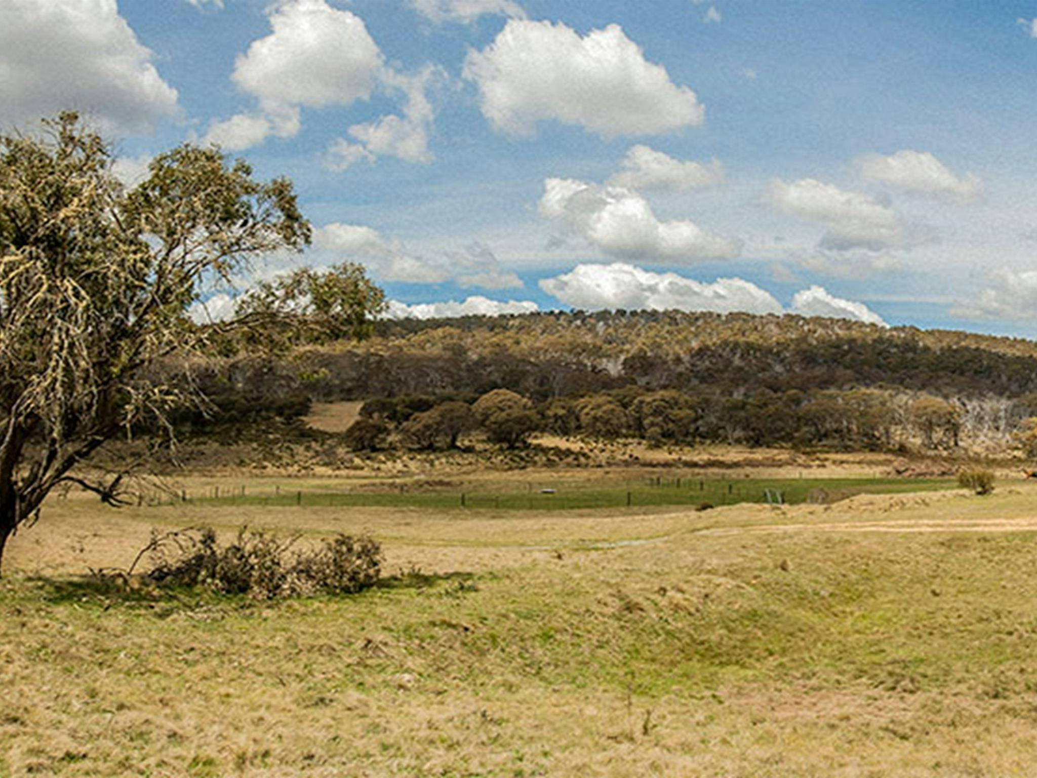 Old Snowy campground, Kosciuszko National Park. Photo: Murray Vanderveer/NSW Government