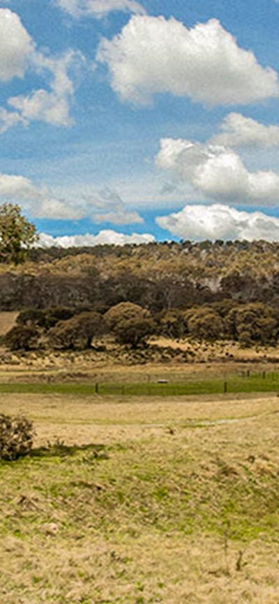 Old Snowy campground, Kosciuszko National Park. Photo: Murray Vanderveer/NSW Government