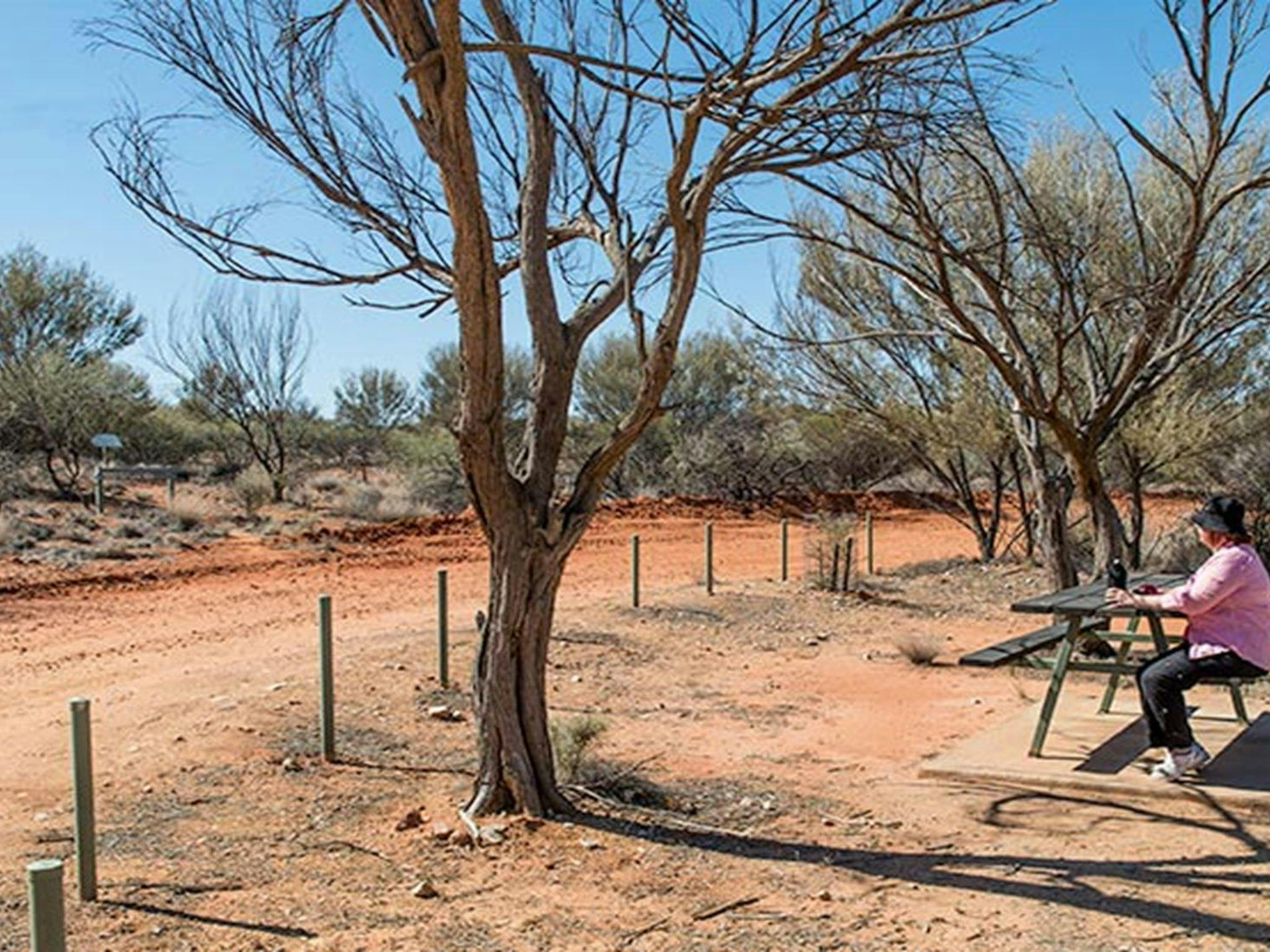 Olive Downs campground, Sturt National Park. Photo: John Spencer