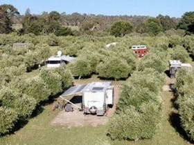 Large, private, well spaced bays hidden amongst the olive trees