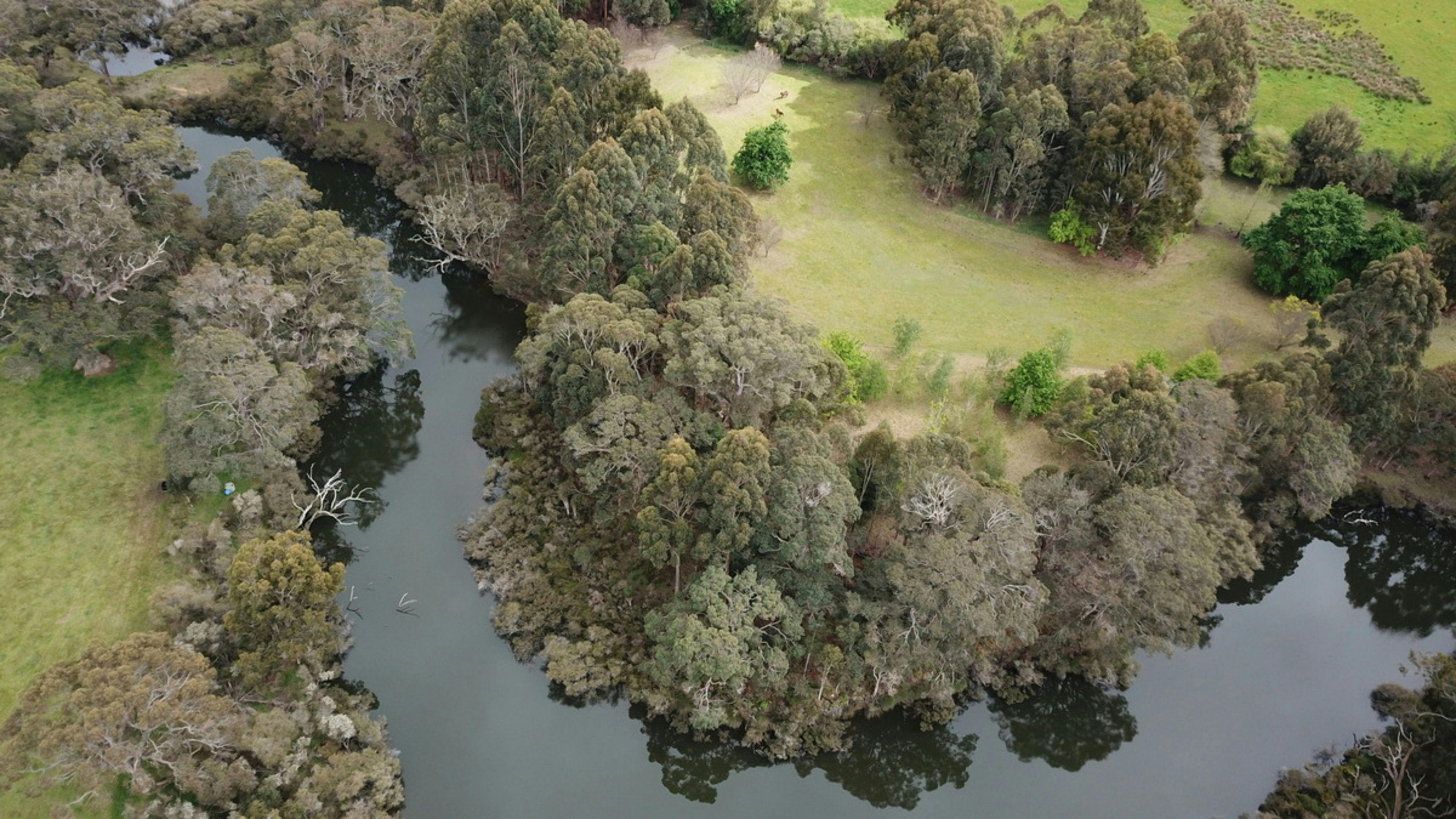 Olive Hill Farm RV Campground Margaret River