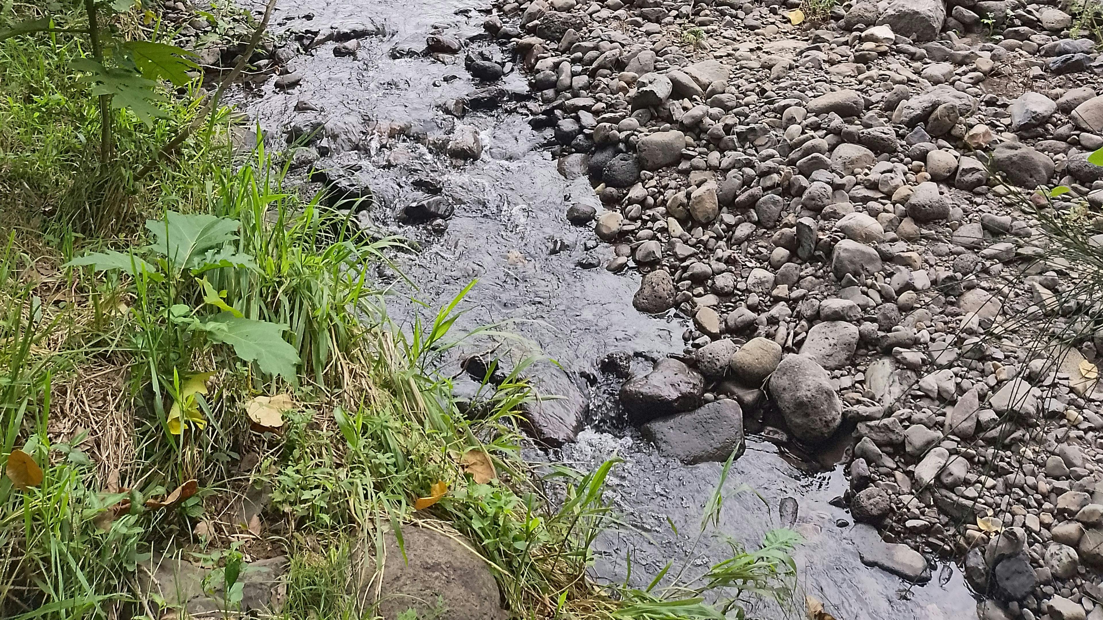 화이트 왈라비 농장