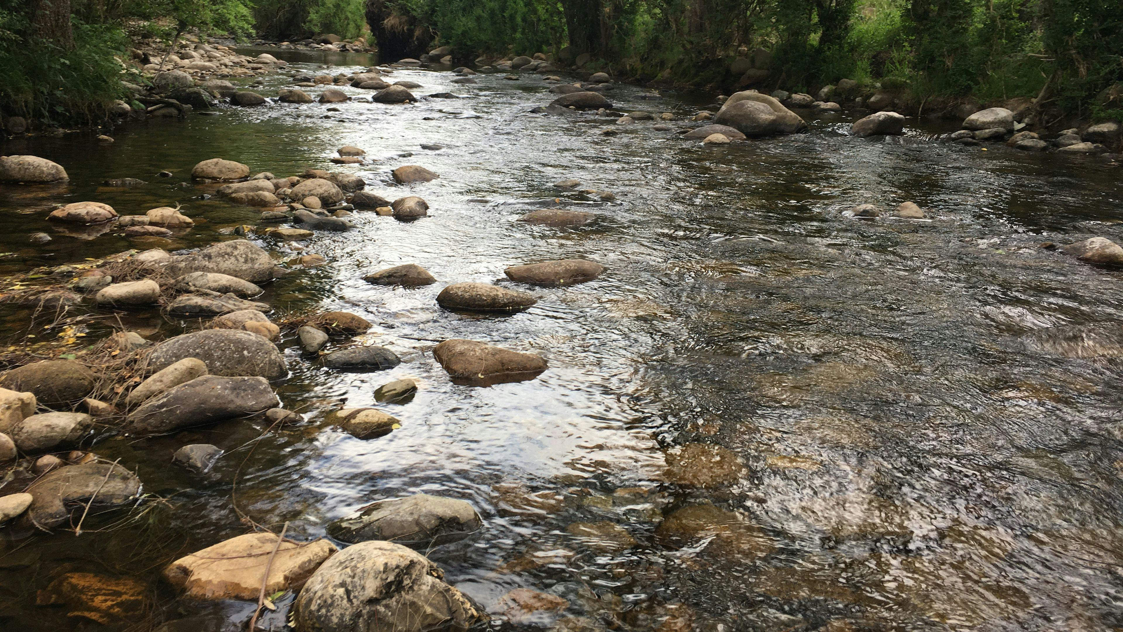 Omadale Brook, Barrington Tops