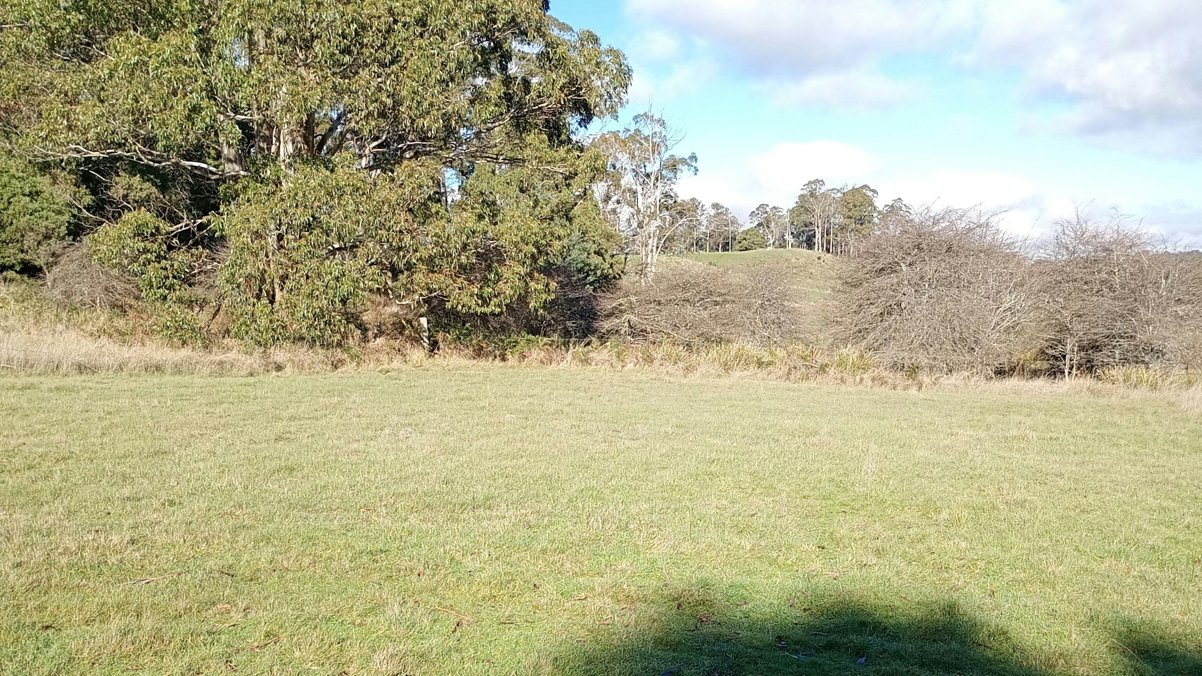On The Hill in Patersonia campground