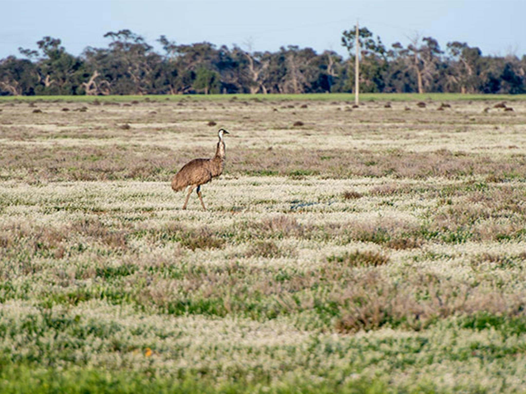 奥兰贝扬国家公园。照片：约翰·斯宾塞 © DPIE