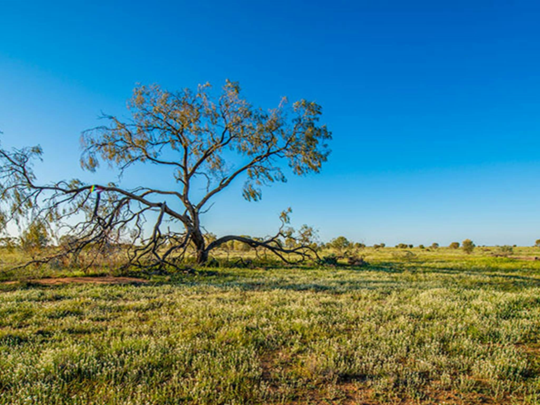 奥兰贝扬国家公园。照片：约翰·斯宾塞 © DPIE
