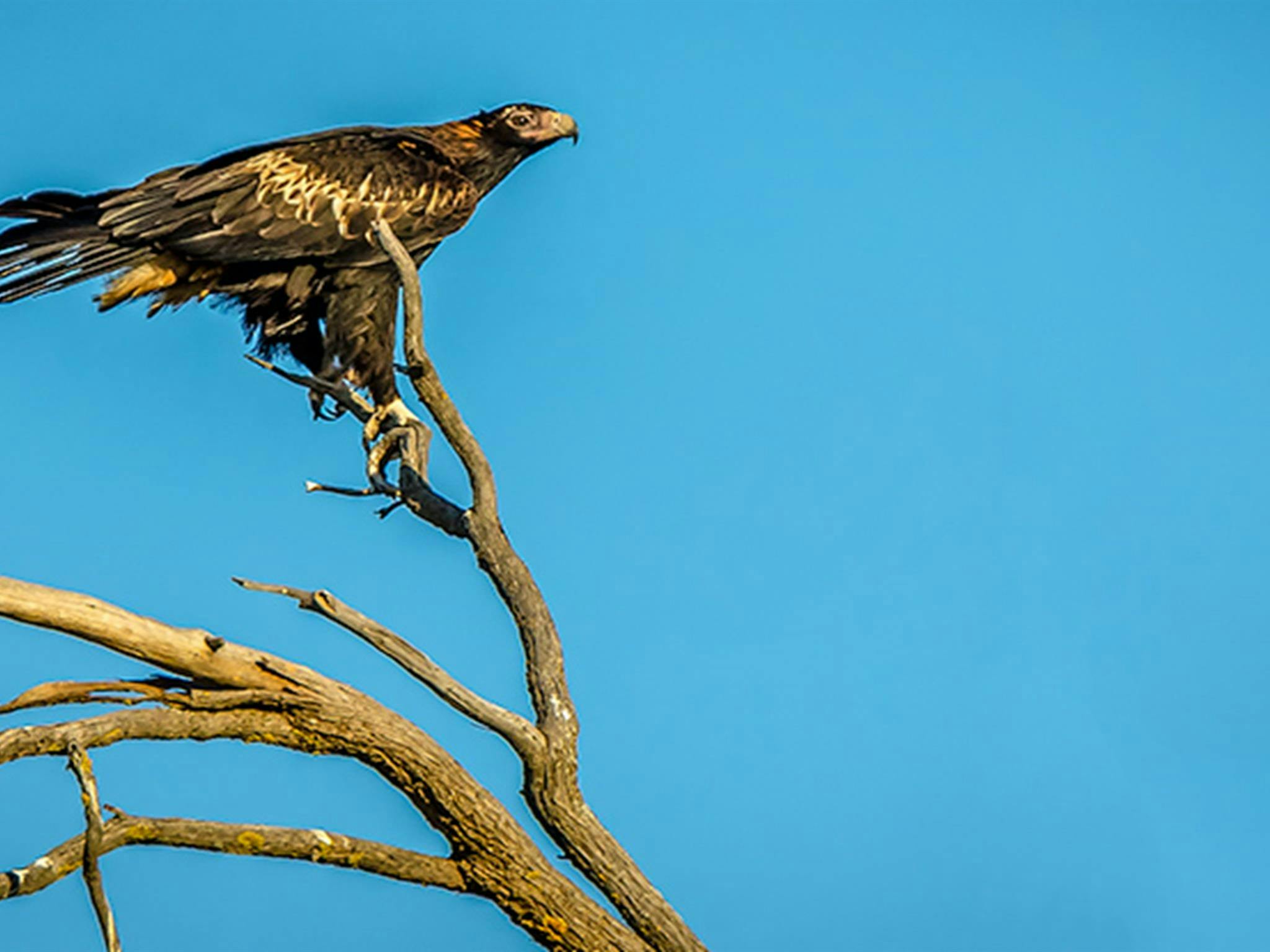 奥兰贝扬国家公园。照片：约翰·斯宾塞 © DPIE