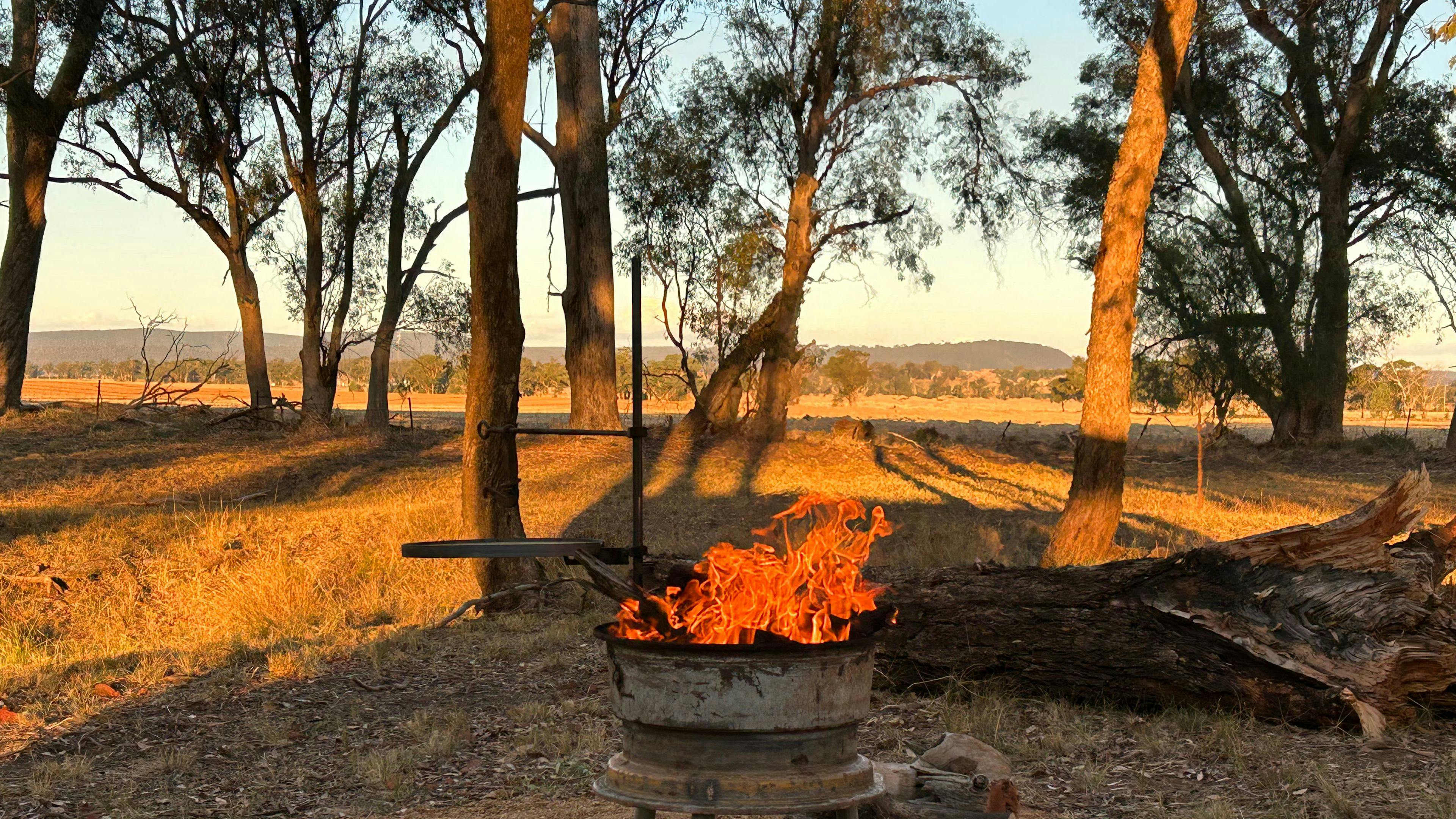 Burrill Creek Camping