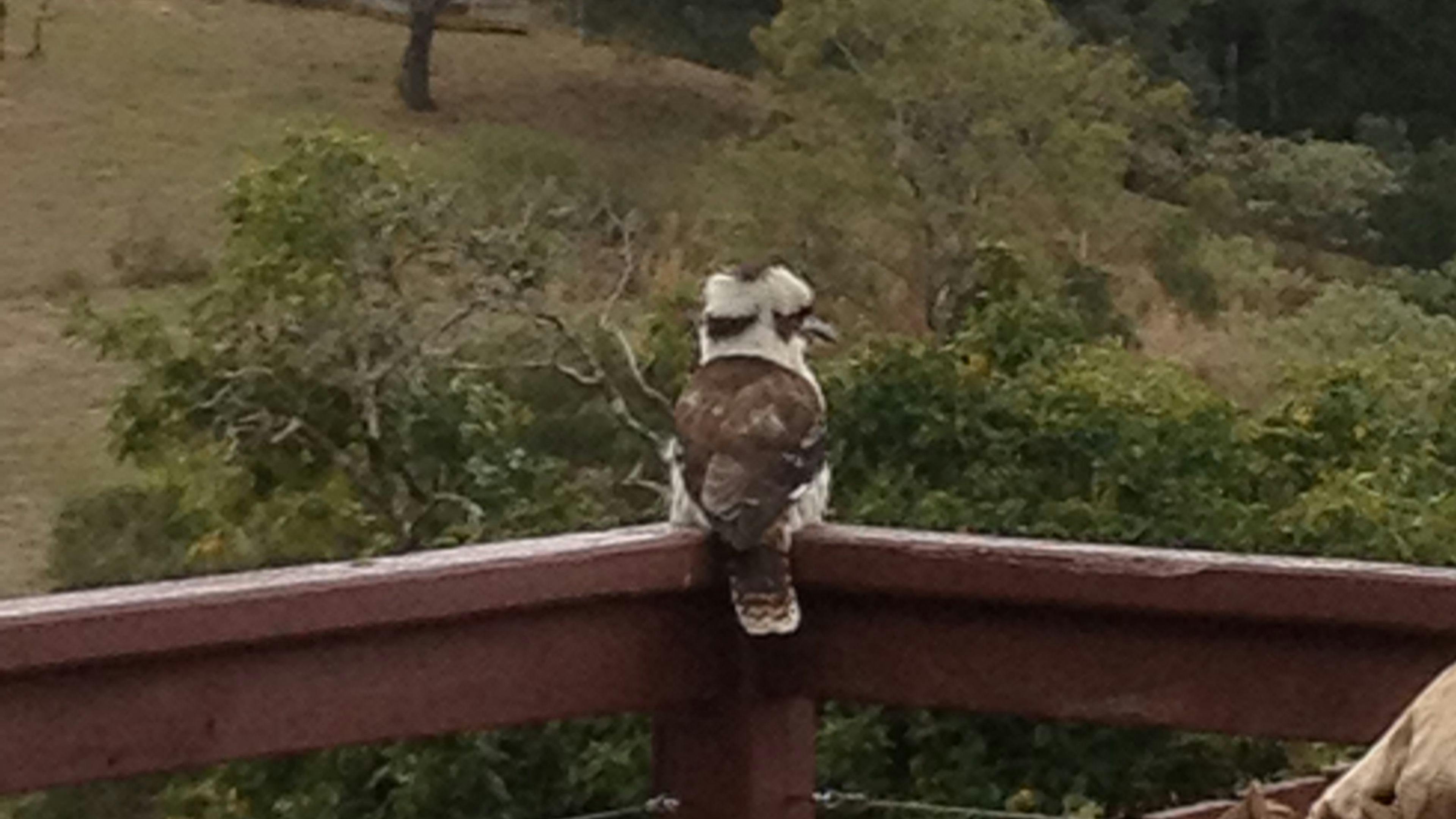고요한 정원 캠핑