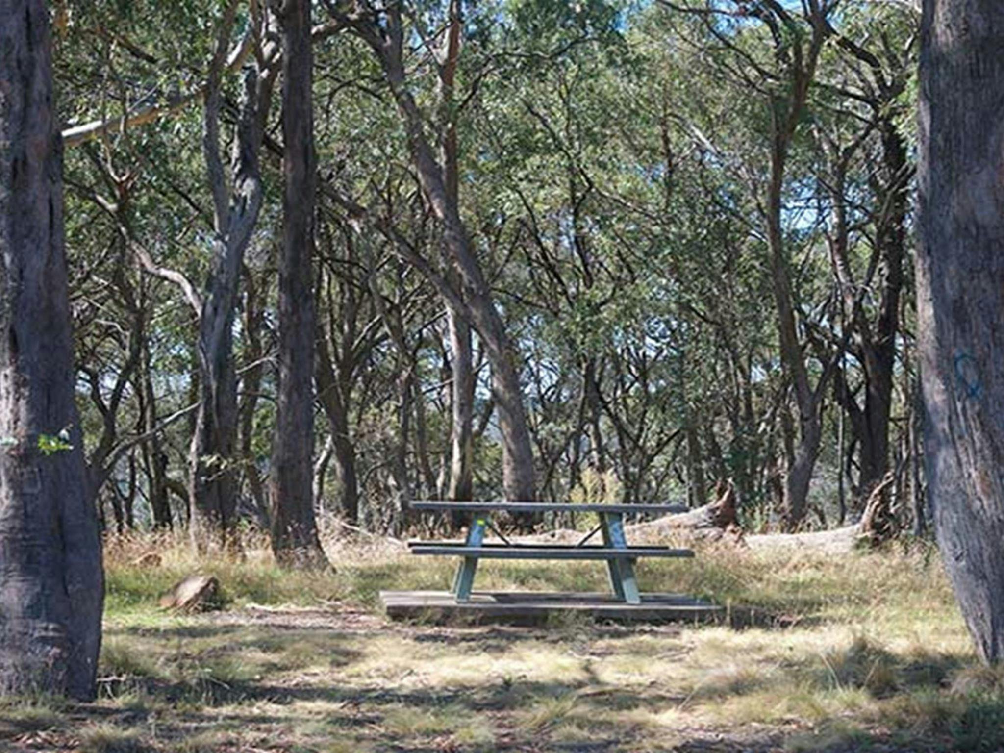 Wide view of picnic table among bushland including red stringybark and peppermint trees. Photo: