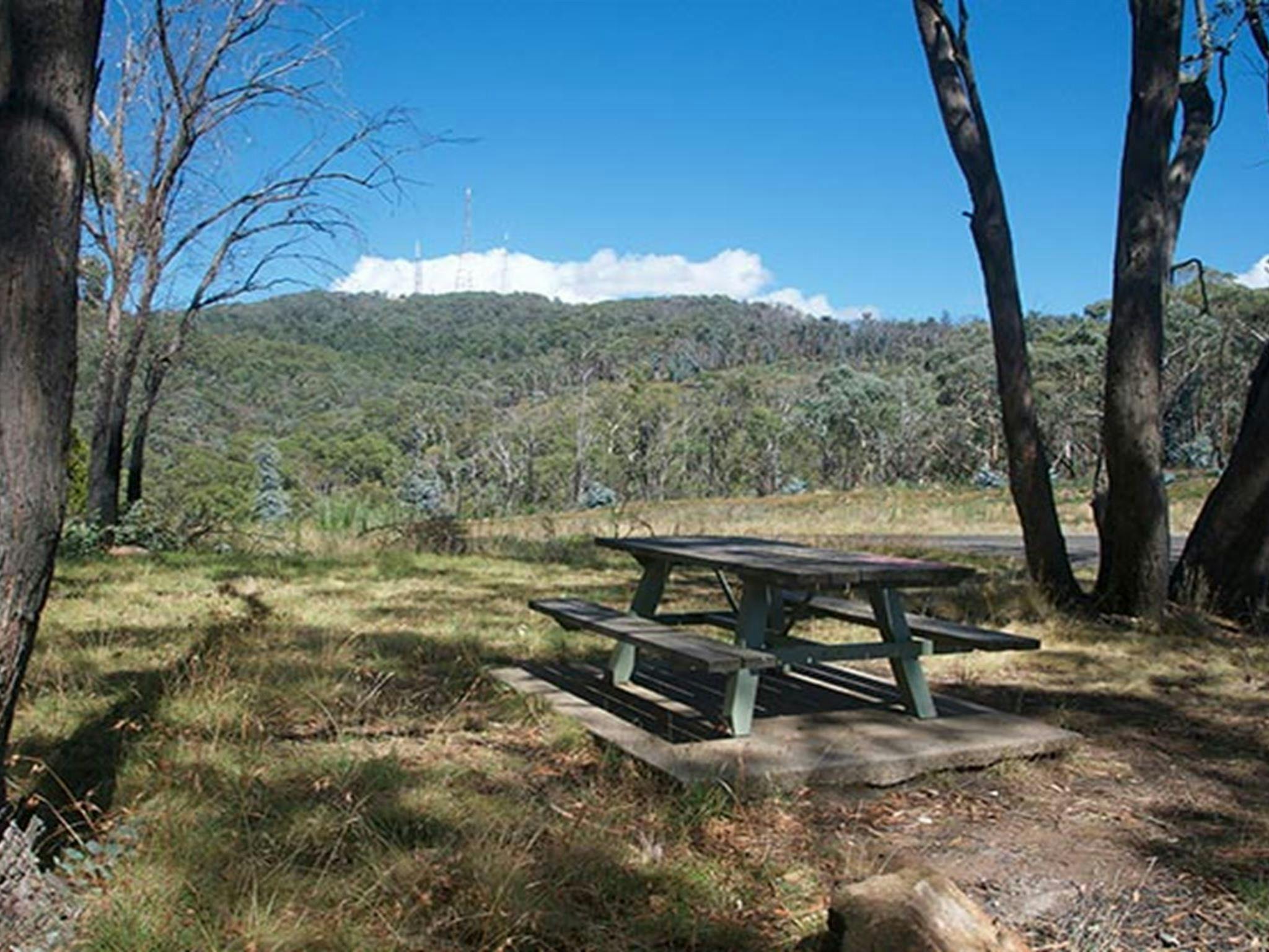 Picnic table set beneath the shade of trees, with bushland and mountain views. Photo: Steven