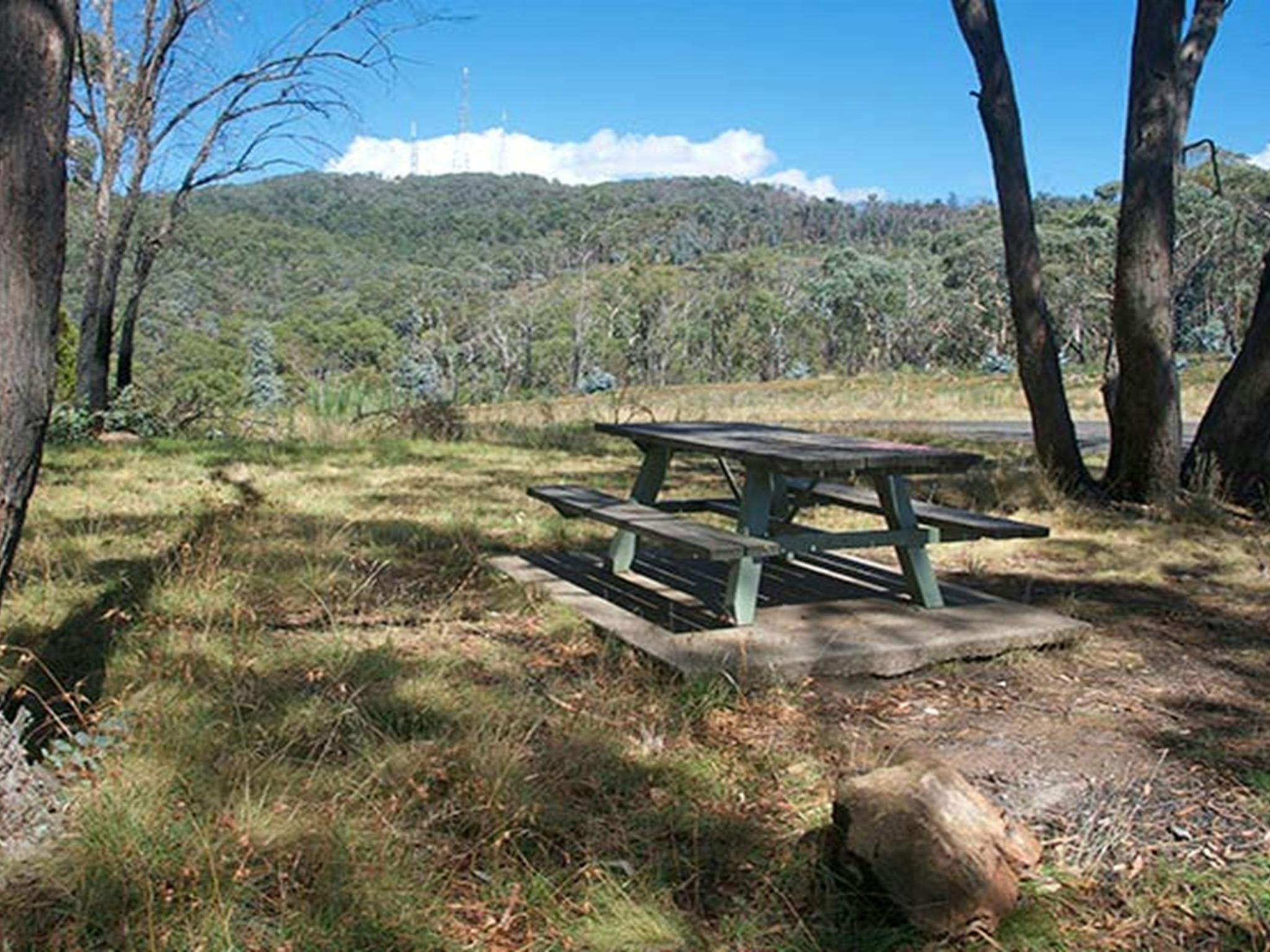 Orange View picnic area, Mount Canobolas State Conservation Area. Photo: Steve Woodhall &copy; DPIE