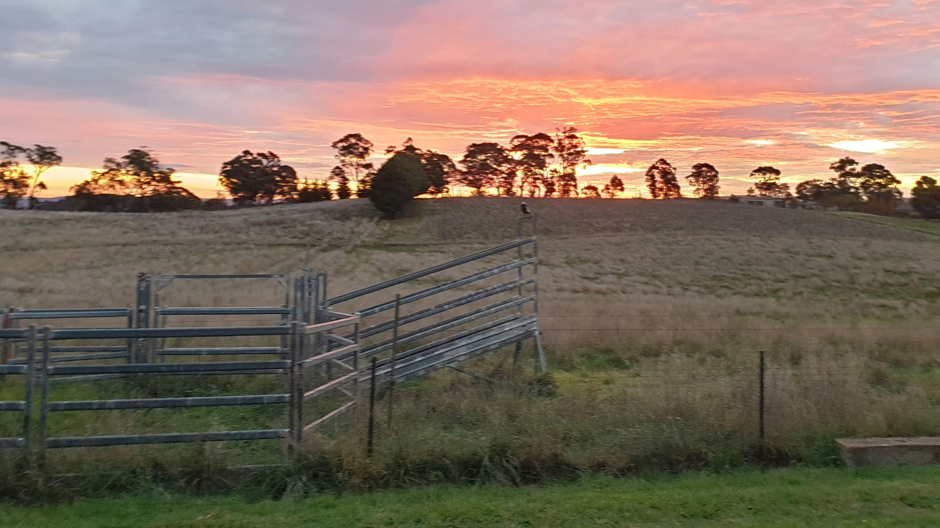 Orangewood Farm, Pool, Hilltop View