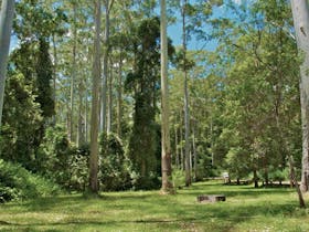 O'Sullivans Gap picnic area