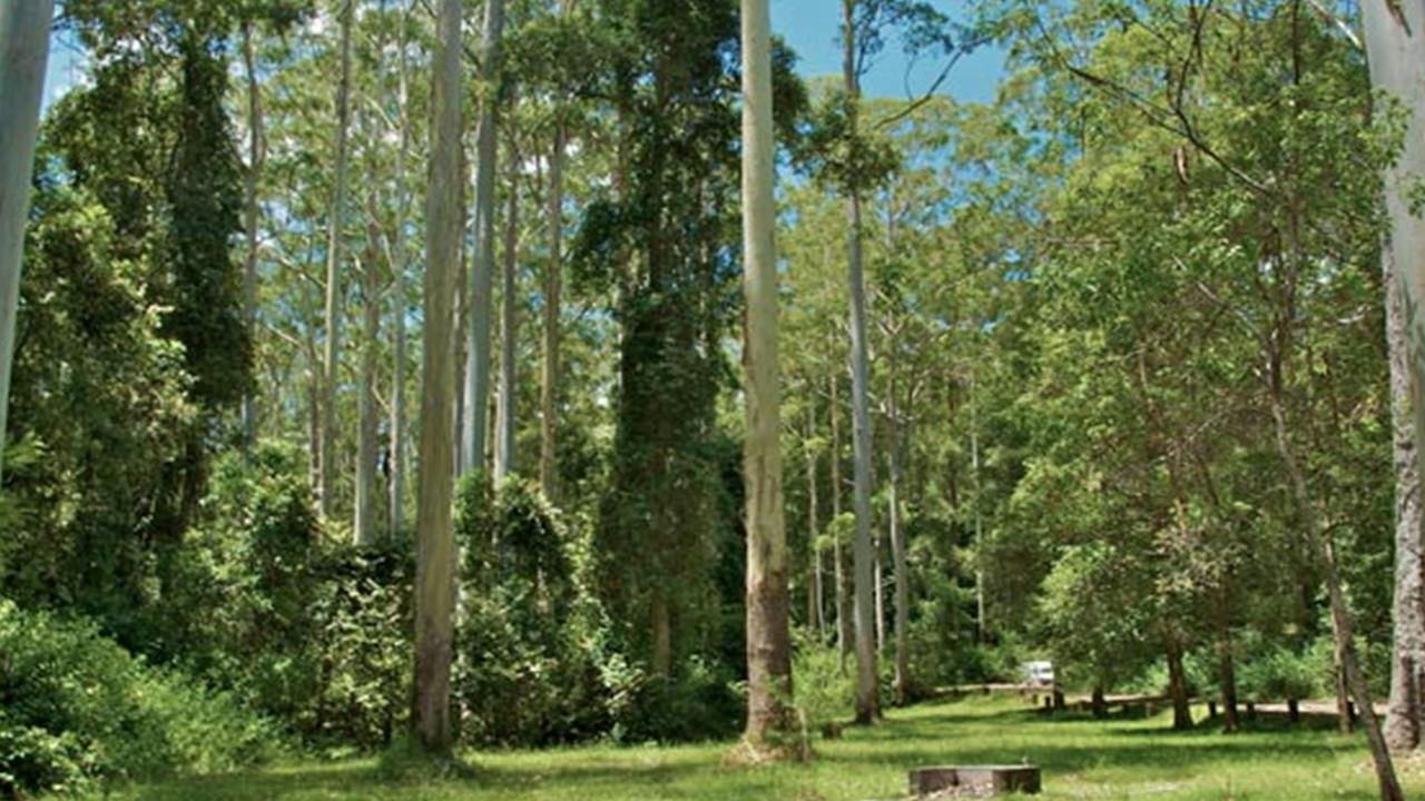 O'Sullivans Gap picnic area