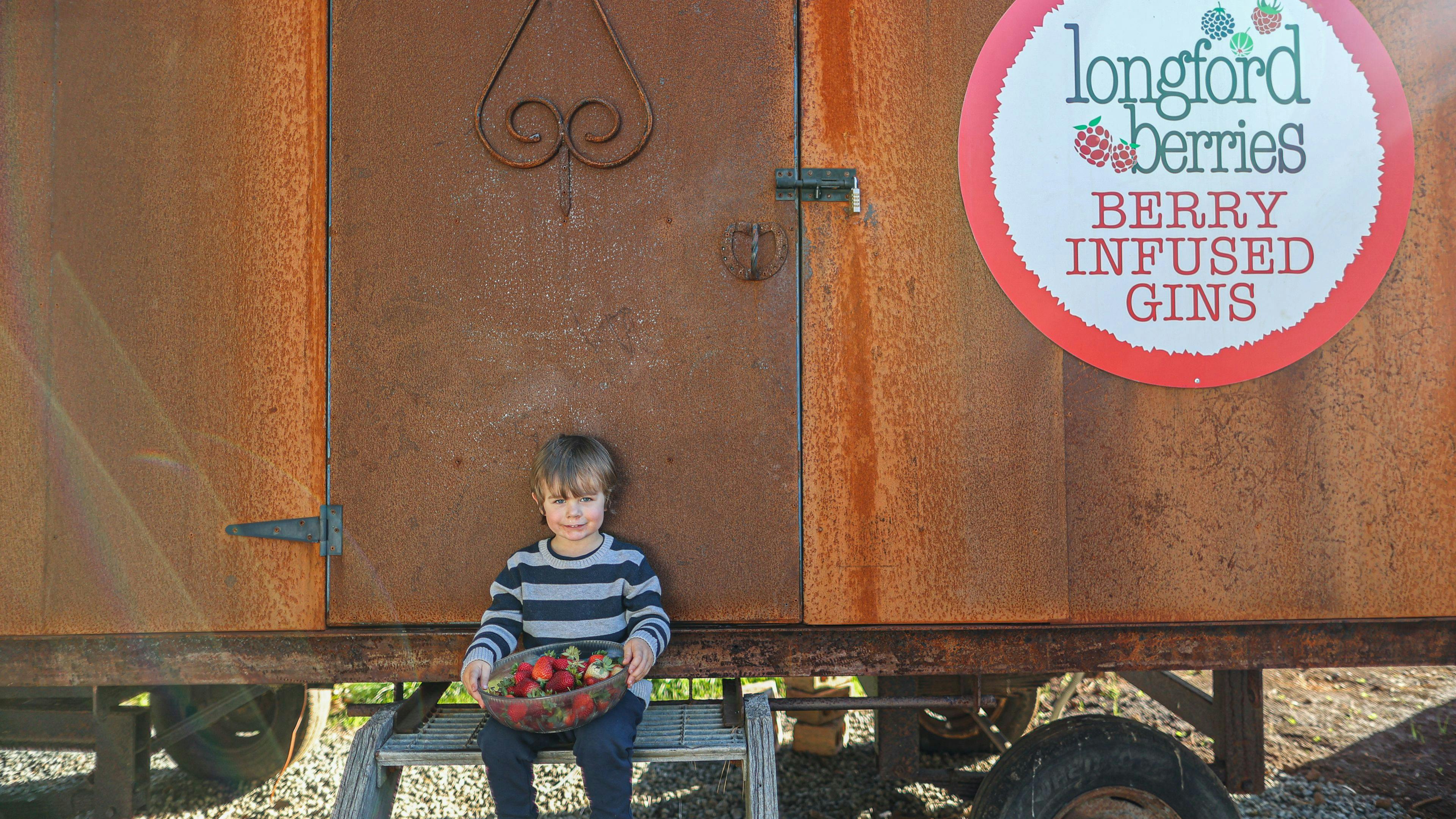 Longford Berries Hobart and Beyond