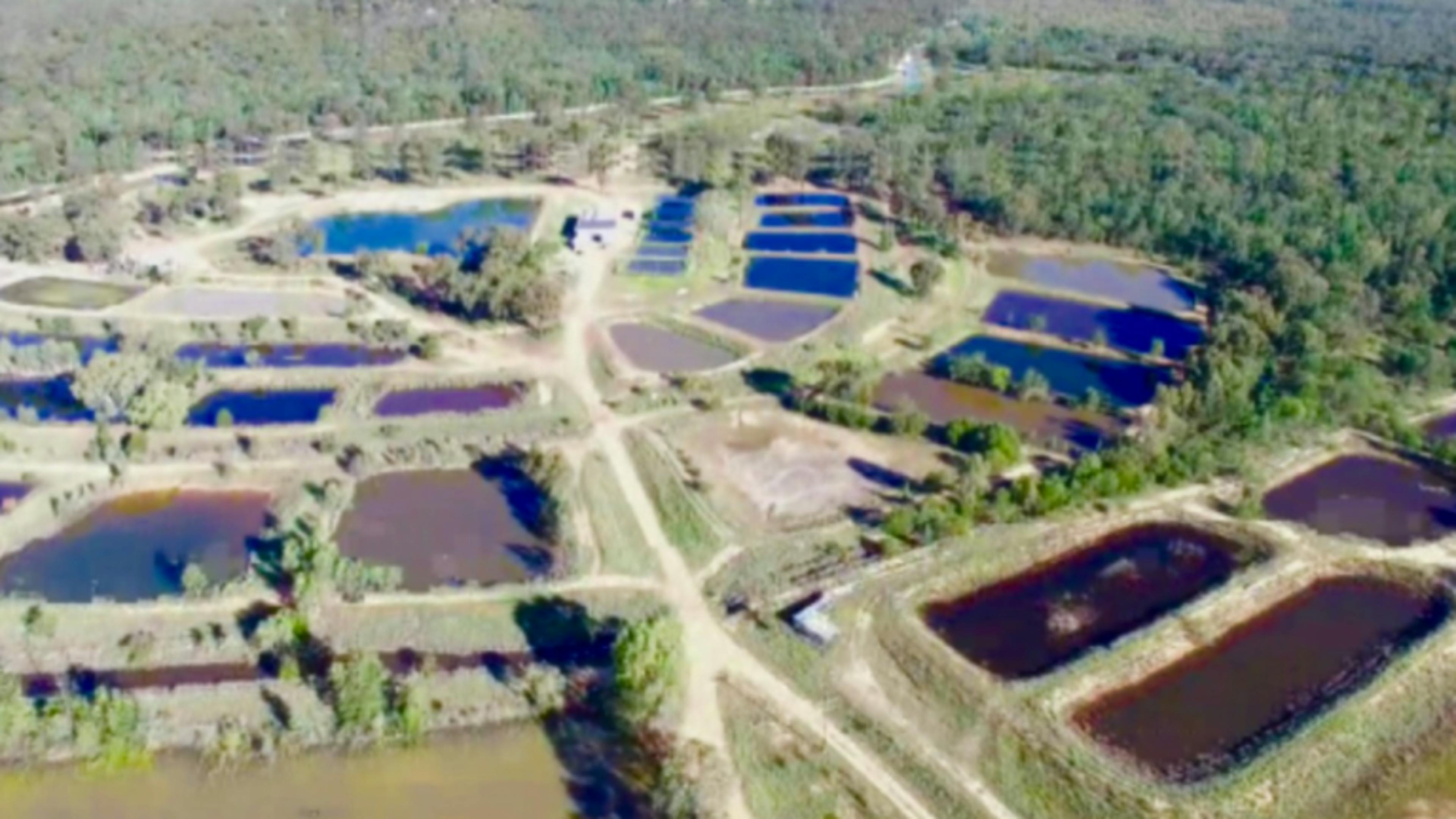 Aerial photo of the ponds