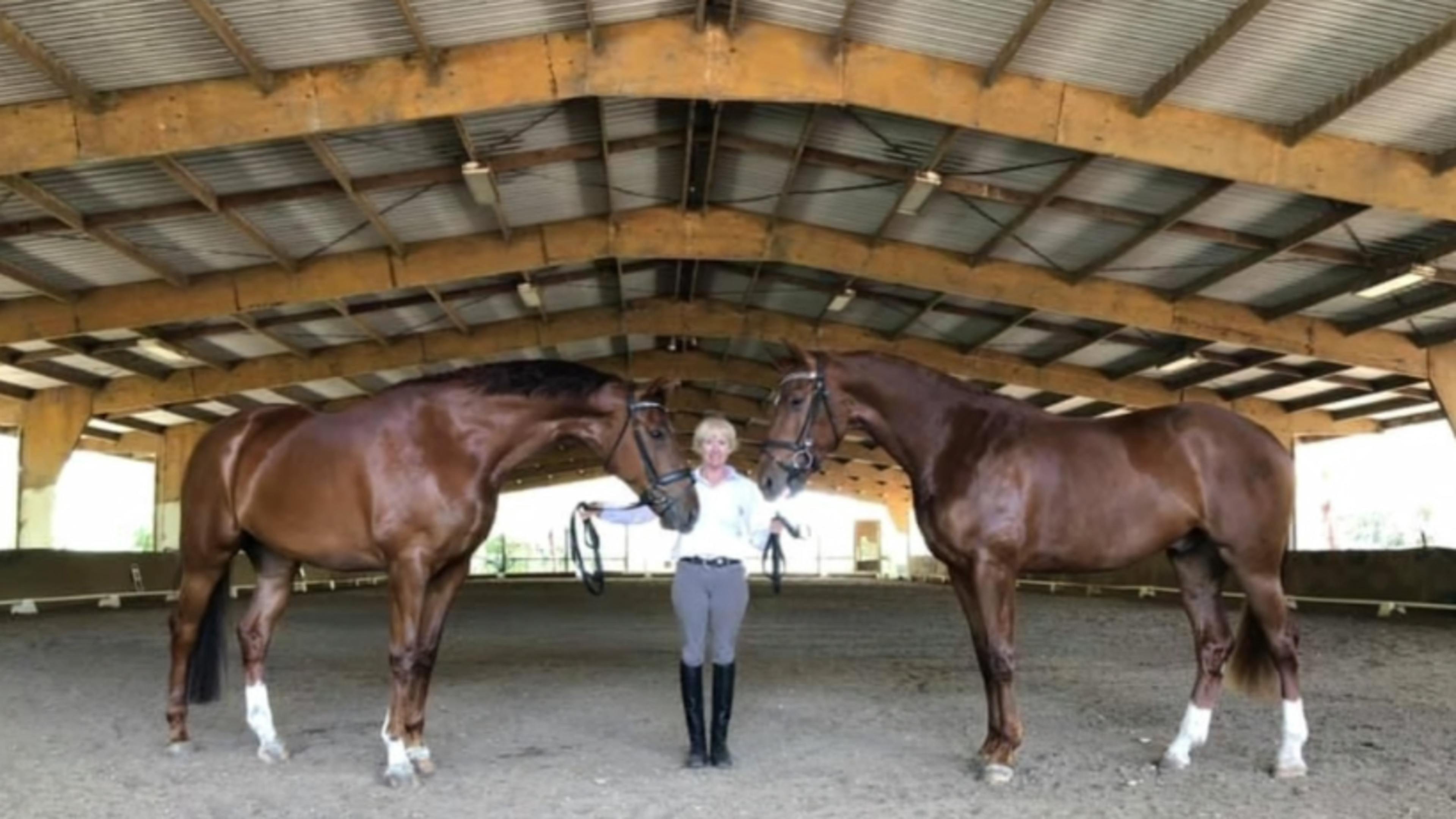 Hunter Valley Equestrian Centre