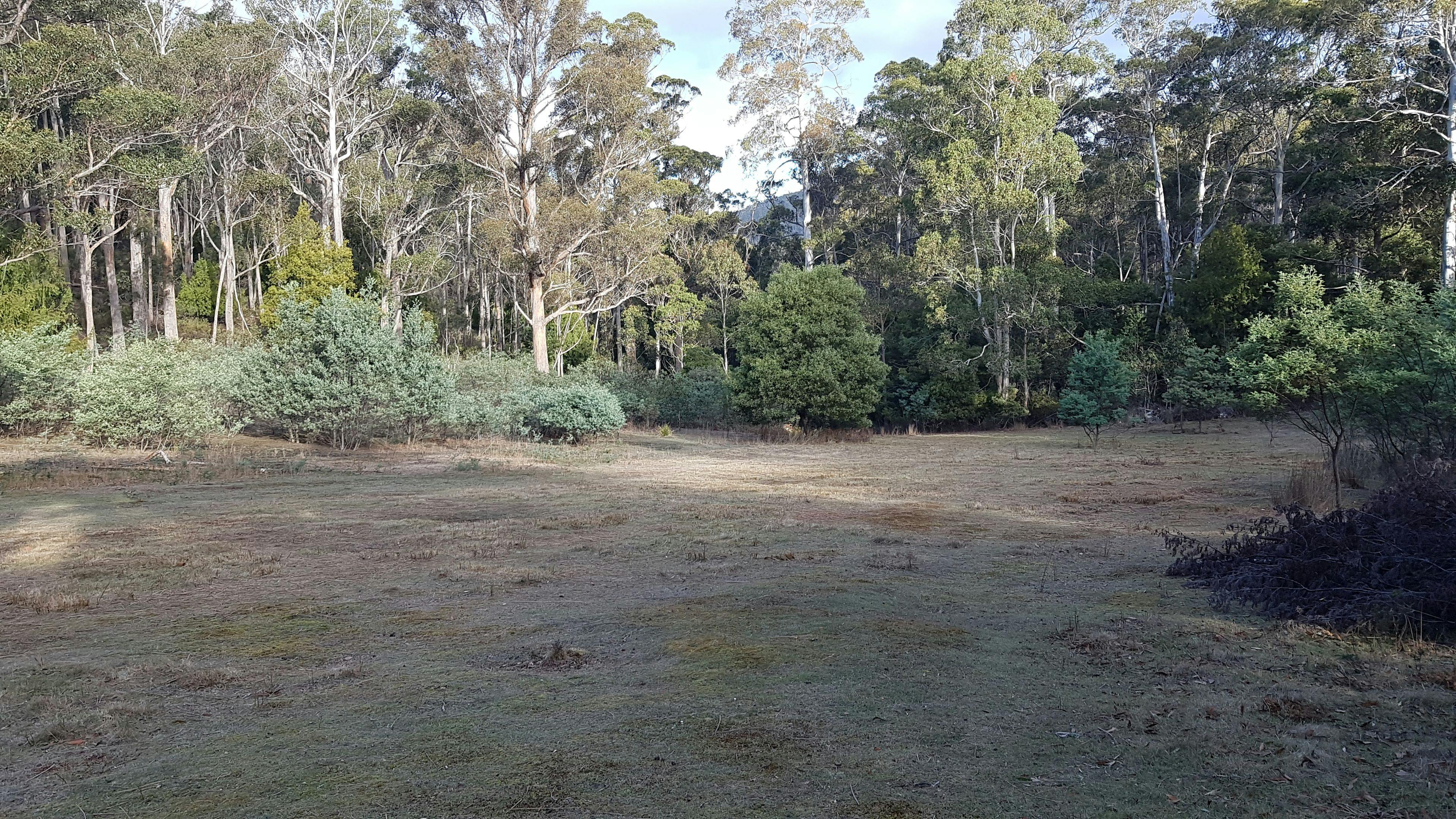 Idle Valley