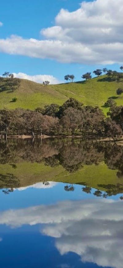 Lake Burrinjuck Leisure Resort