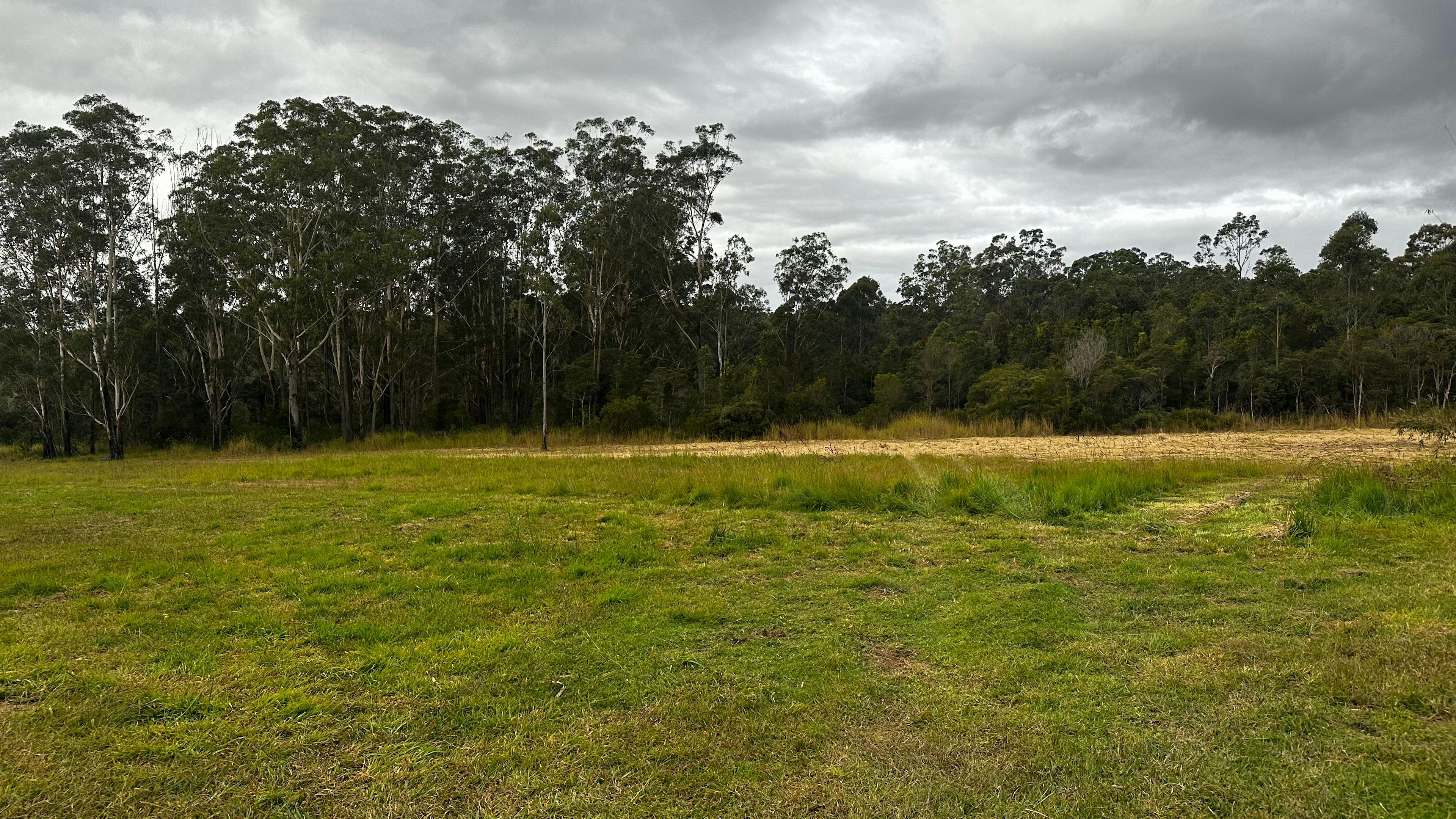 Paddock Camp