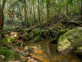 Palm Grove Nature Reserve