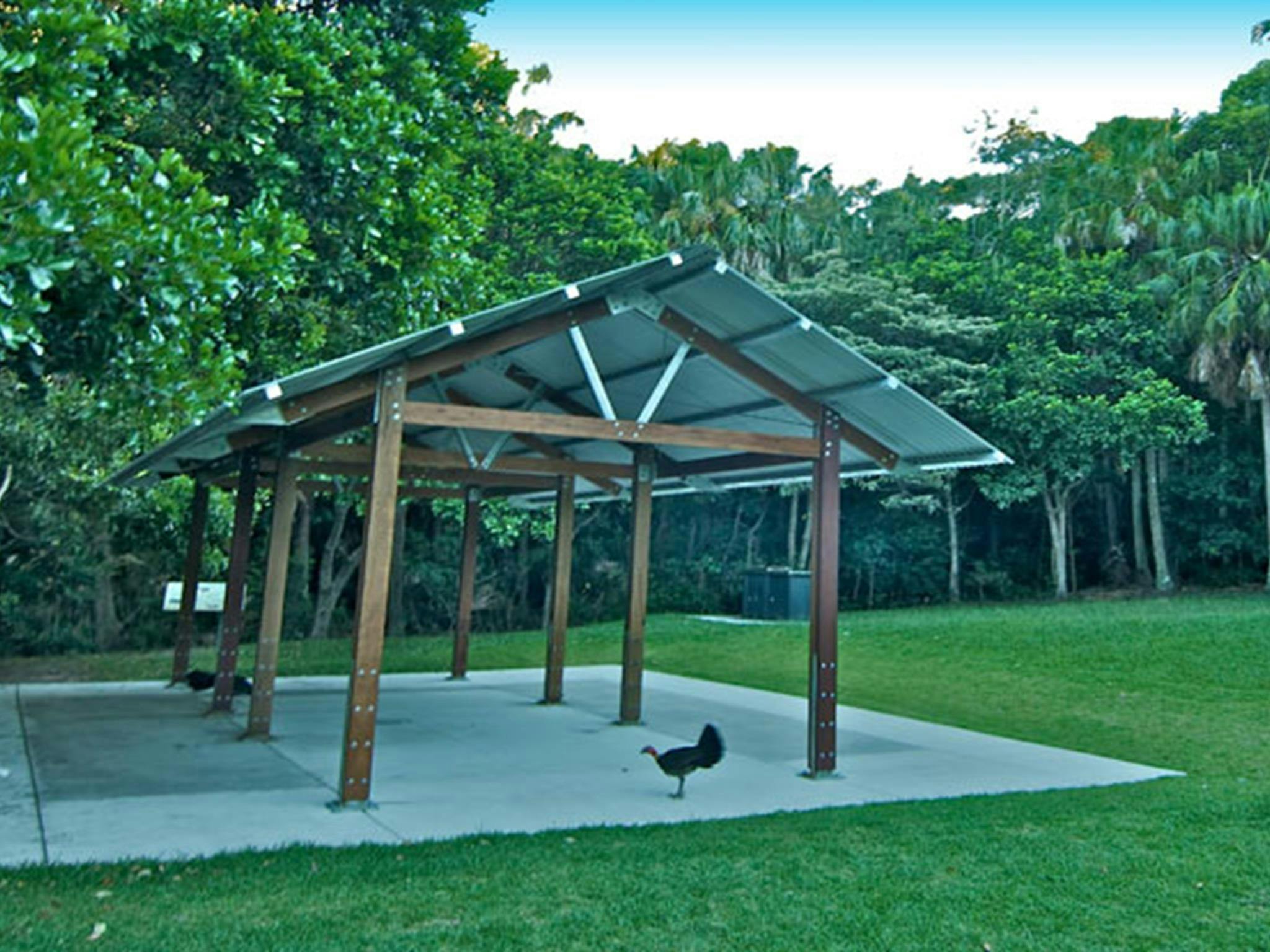 棕榈谷，沃尔根角拜伦州立保护区。照片：约翰·斯宾塞