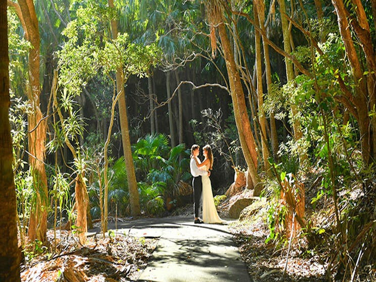 A couple surrounded by coastal rainforest at Palm Valley lawn in Cape Byron State Conservation Area.