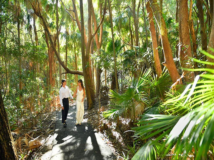 A couple walking through coastal rainforest at Palm Valley lawn in Cape Byron State Conservation