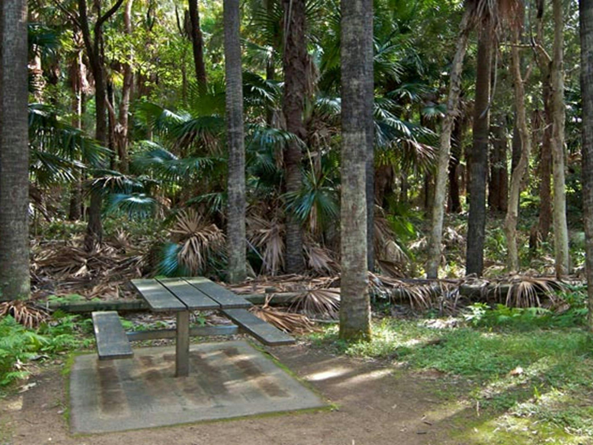 Palms picnic area