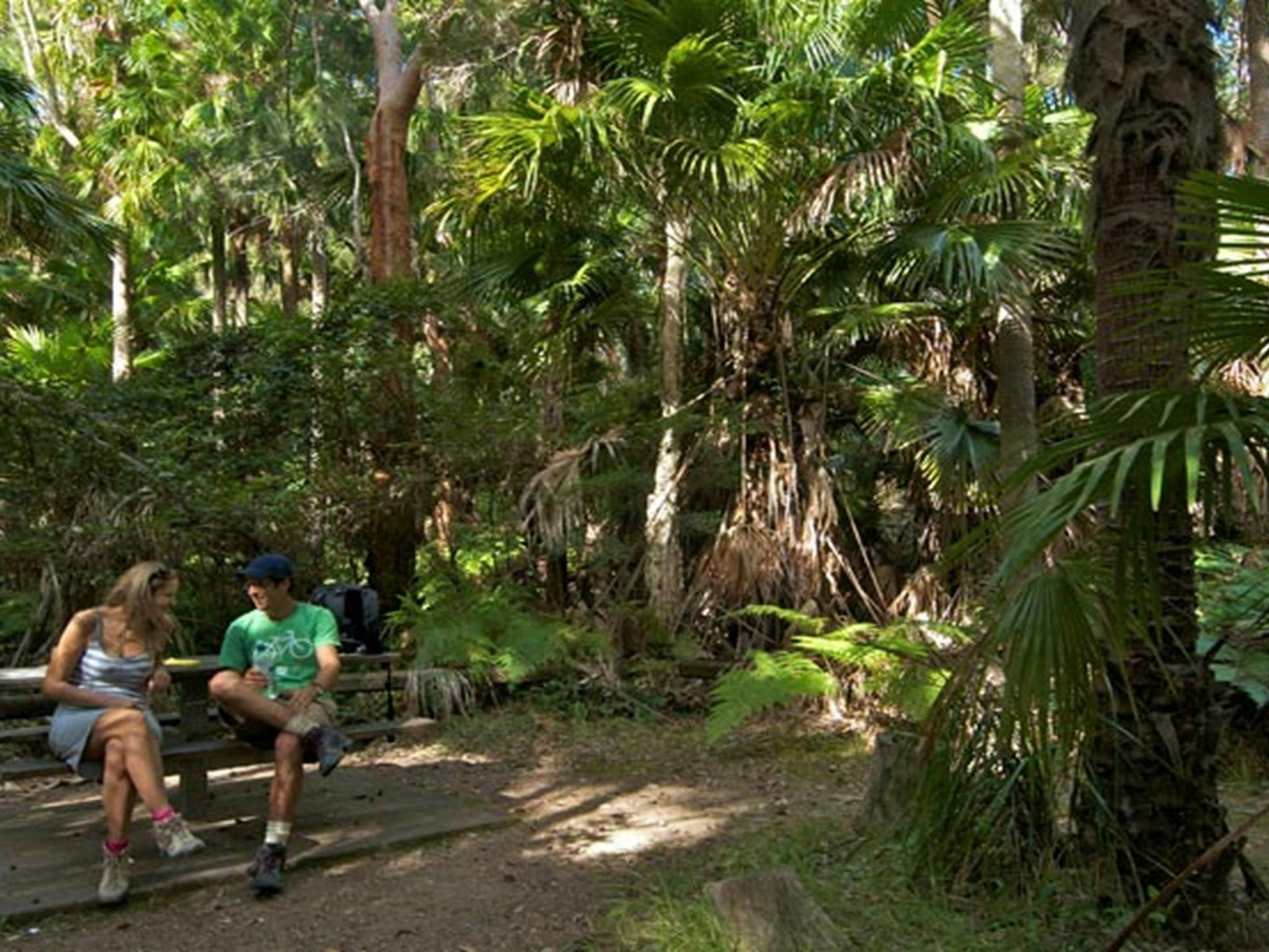 Palms picnic area benches, Munmorah State Conservation Area. Photo: John Spencer © DPIE